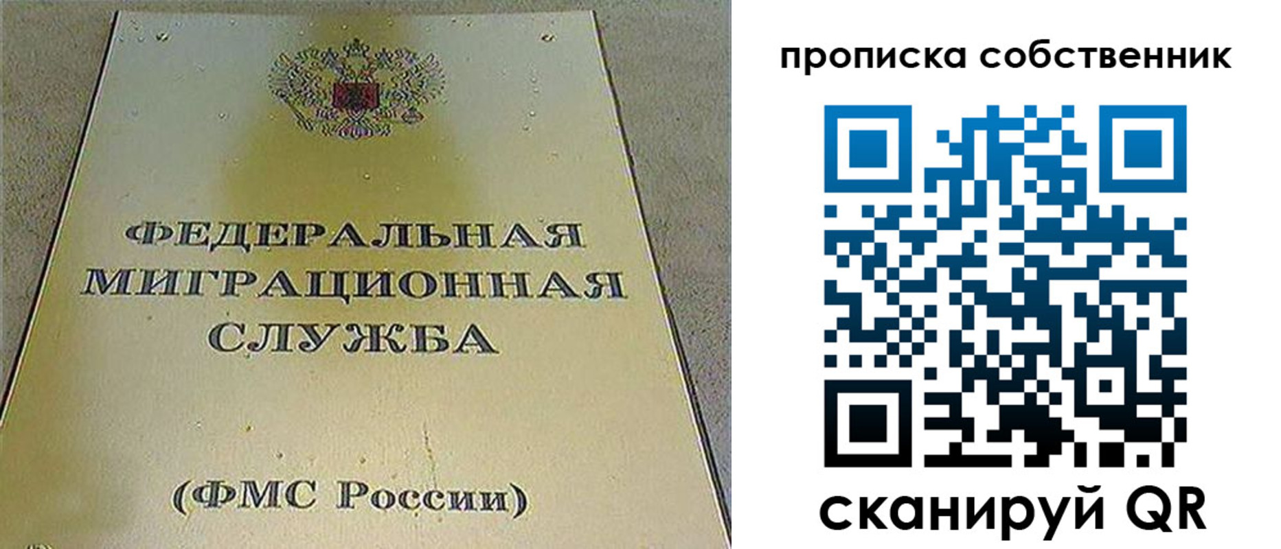 где прописаться в Павловском Посаде
